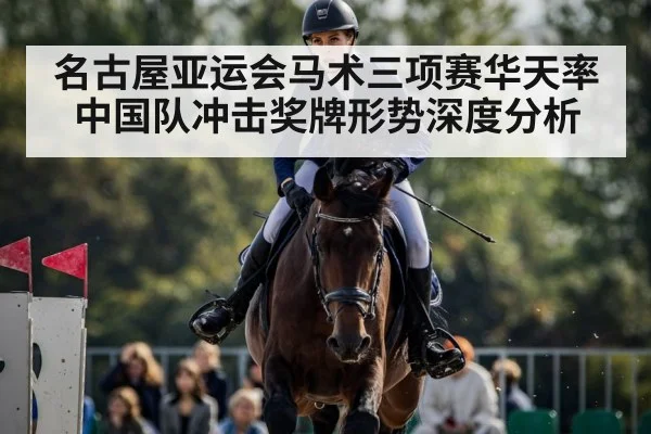 equestrian show jumping competition