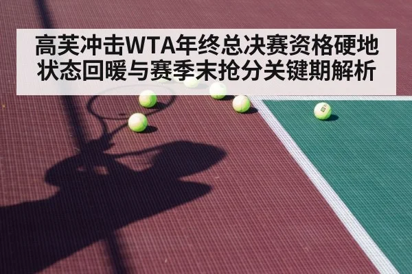 tennis player hard court